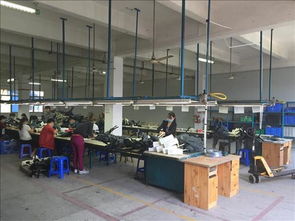 新余市學(xué)校房屋安全檢測與培訓(xùn)機(jī)構(gòu)安全報(bào)告全國辦理現(xiàn)狀及數(shù)據(jù)解析